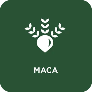 Navitas Organics Organic Superfood+ Adaptogen Blend Maca + Reishi + Ashwagandha 6.3 oz (180 g) - MACA