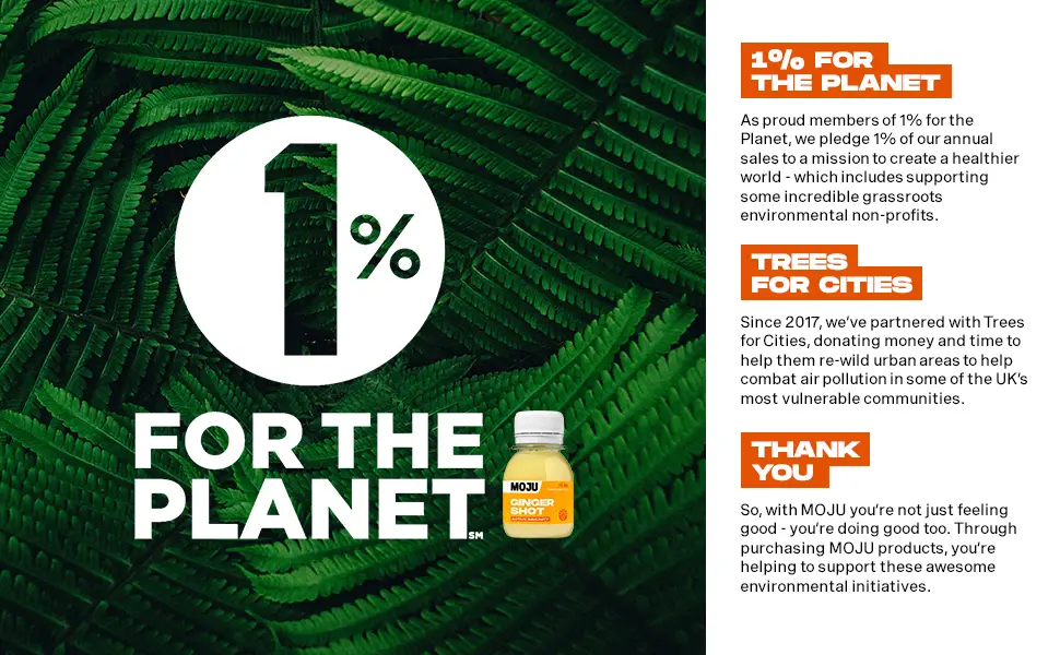 Moju Turmeric Vitality Dosing Bottle 420ml - Turmeric Shot 5th