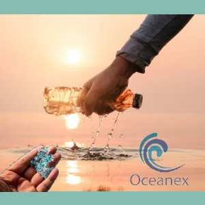 Ecohound Oceanex 500 Large Dog Waste Bags - Post Consumer + Oceanex