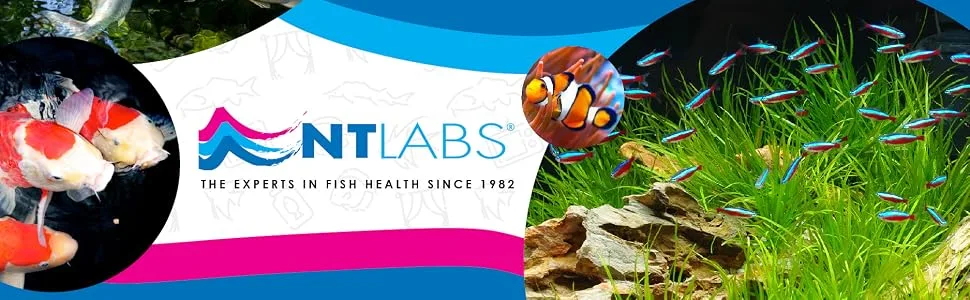 NT Labs AquariumPlastic Plant Cleaner Aquarium Ornament Cleaner AquariumMaintenance Accessory Cleans Aquarium Decorations - Plastic Plant Cleaner