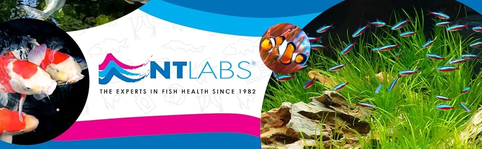 NT Labs Pond Lab Multi-Test Kit (6 Key Parameters - Ammonia Nitrite Nitrate pH General Hardness and Carbonate Hardness) Pond Water Test Kit Accurate Results Up to 200 Tests Combine Liquid Test - NT-LABS-FISH_HEALTH-EXPERTS-UK