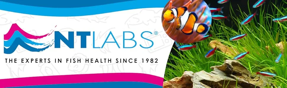 NT Labs Aquarium Lab Multi-Test Kit (6 Key Parameters - Ammonia Nitrite Nitrate pH General Hardness and Carbonate Hardness) Aquarium Kit Accurate Results Up to 200 Tests Combine Liquid Tests - NT-LABS-AQUARIUM-TEST-KIT