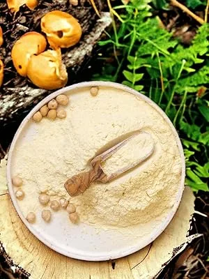 Organic Chickpea Gram Flour 500g - Organic Chickpea Gram Flour
