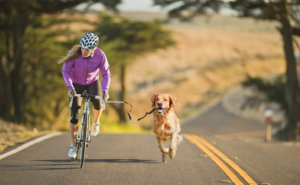 wefaner Dog Bicycle Exerciser Leash Hands Free Bicycle Dog Leash - Dog Bicycle Exerciser Leash