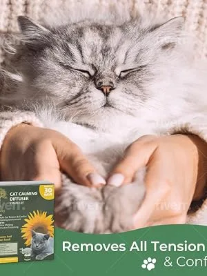 Daintry Cat Calming Diffuser with pheromones and sunflower smell - Cat Snuggled Calm and Content with the Owner