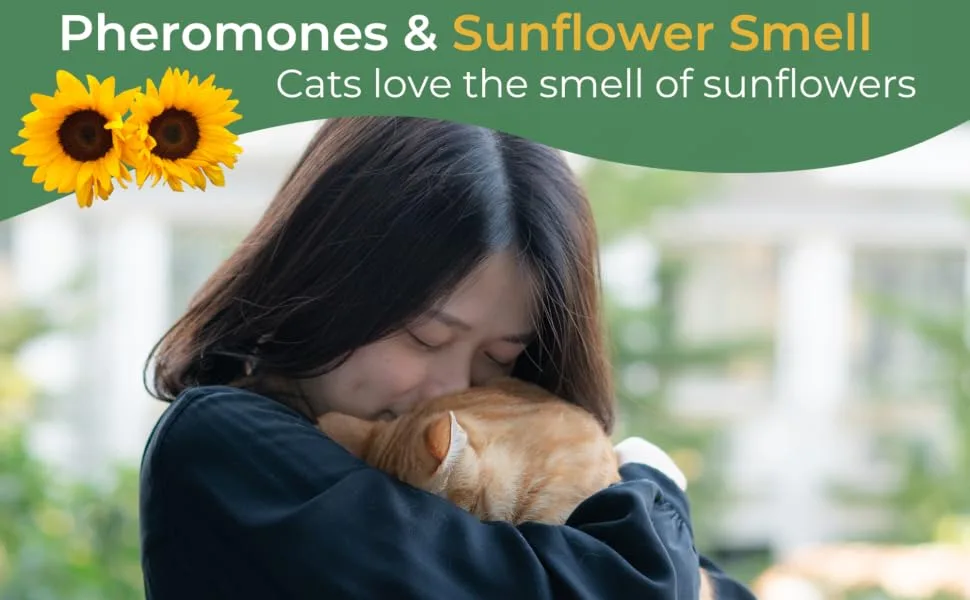 Daintry Cat Calming Diffuser with pheromones and sunflower smell - lady and Cat Calm with the release of Pheromoes and Sunflower Smell