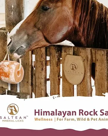 SALTEAN Himalayan Rock Salt | Lick For Small Animal/Pet Licks Hanging Himalayan Rock Salt-86gram- 2 cube salt - SALT