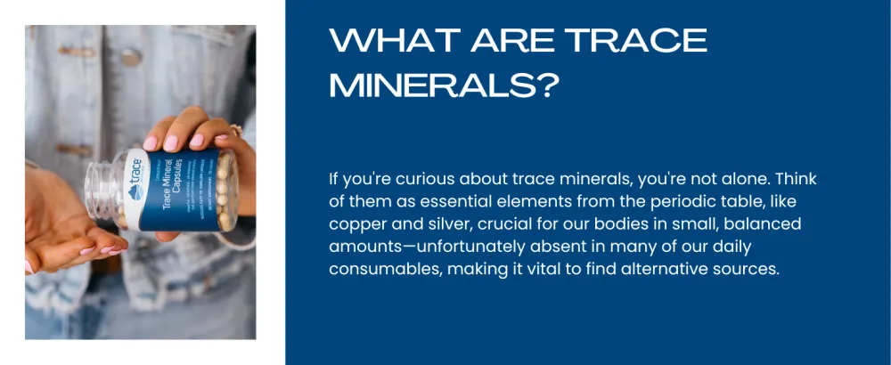 Trace Minerals | Concentrated Ionic Chlorophyll | Supports & Immune Function | Antioxidant | Supports Blood & Energy | Mint Flavored | 6000mg 59 ml - longevity trace minerals concemtrace zinc magnesium iron drops