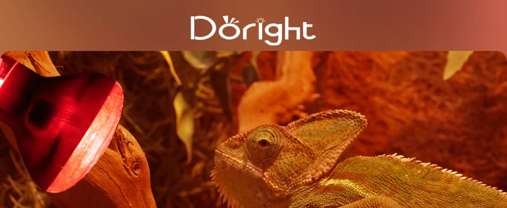 DoRight E27 Reptile Infrared Night Heating Bulb 50W Dimmable Backlight Infrared Heat Lamp Basking Spot Light Bulb for Bearded Dragon Lizard Tortoise Reptiles & Amphibians - Reptile Infrared Night Heating Lamp Bulb E27