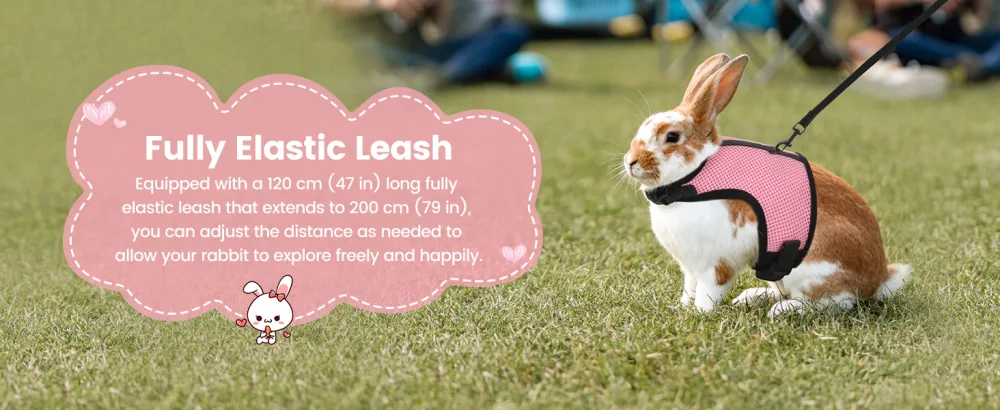 HAPPY HACHI Rabbits Harness With Elastic Lead Adjustable Rabbit Harness And Lead Set Mesh Vest for Hamsters Small Cats Guinea Pig Walking(S Pink) S Pink - Fully Elastic Leash