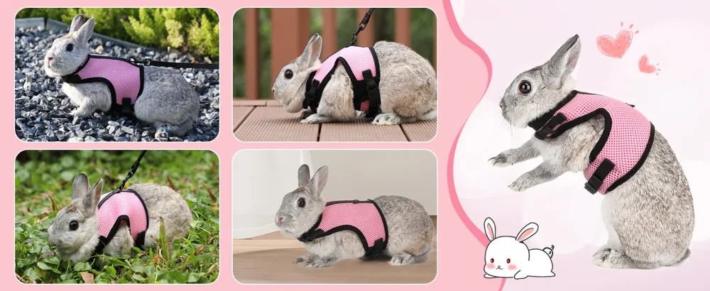 HAPPY HACHI Rabbits Harness With Elastic Lead Adjustable Rabbit Harness And Lead Set Mesh Vest for Hamsters Small Cats Guinea Pig Walking(S Pink) S Pink - Mesh Vest for Hamsters Small Cats Guinea Pig Walking