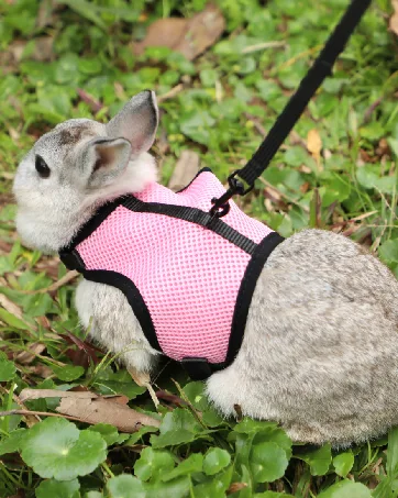 HAPPY HACHI Rabbits Harness With Elastic Lead Adjustable Rabbit Harness And Lead Set Mesh Vest for Hamsters Small Cats Guinea Pig Walking(S Pink) S Pink - rabbit harness