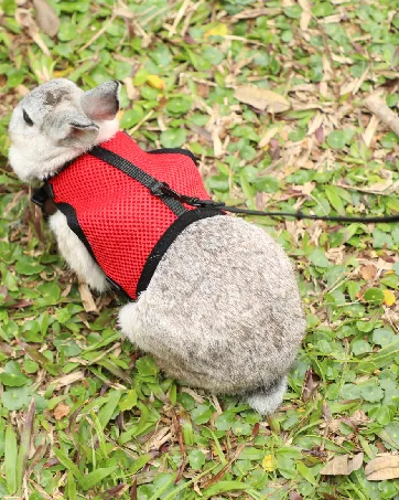 HAPPY HACHI Rabbits Harness With Elastic Lead Adjustable Rabbit Harness And Lead Set Mesh Vest for Hamsters Small Cats Guinea Pig Walking(S Pink) S Pink - rabbit harness