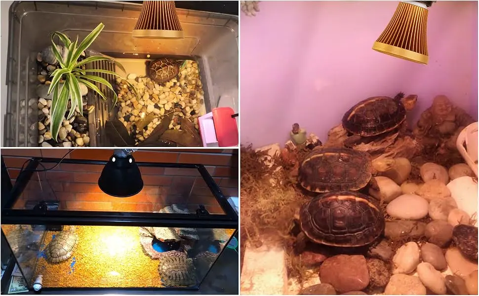 MAINENG UVA UVB Bulb for Reptiles & Amphibians 8525 LED Lamp with UV Light - M8525 UVA UVB Bulb