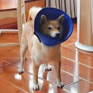 Vetoo Dog Cone Recovery Collar E-collor Breathable Mesh Cone Protective Quicker Healing Anti-Bite Anti-Lick Easy Eat and Drink Grey-6 - dog cone