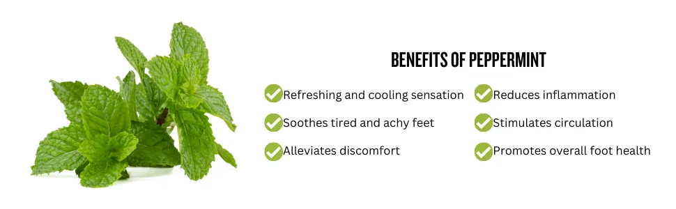 Ultimate Foot Care Bundle with Exfoliating Essentials for Foot Mask Foot Peel Mask Foot Spa - Peppermint reduces inflammation, soothes tired feet and promotes overall foot health.