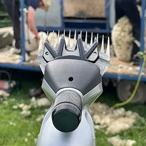 Masterclip Dagging/Shearing Blades for Sheep Cattle Livestock (Dagging) - Dagging blade natural