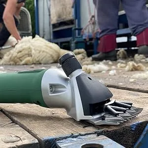 Masterclip Dagging/Shearing Blades for Sheep Cattle Livestock (Dagging) - ewe with dagging blade
