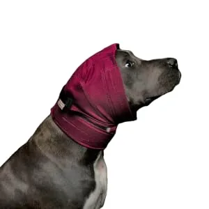 No Flap Ear Wrap The Original (S/M Blue) - No flap Ear Wrap Pinpoint Mesh