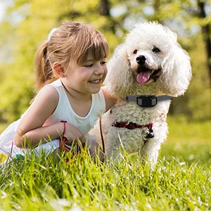 Anti Barking Spray Collar SUPERNIGHT Citronella Dog Bark Collars Dog Training Device for Barking Dogs No Shock Safe Humane Rechargerable with 2 Adjustable Straps - Humane,Efficient and Safe