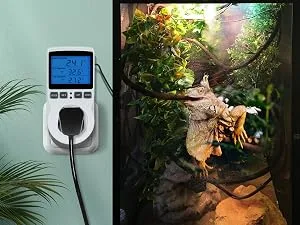 INKBIRD Thermostat Plug Socket Digital Temperature Controller Timer Outlet Timer Switch Plug with Sensor Probe Heating Cooling Mode for Reptile Greenhouse Home Fermentation UK Plug - Thermostat Plug Socket Temperature Controller Timer Outlet Heating Cooling Fridge Reptile Aquarium