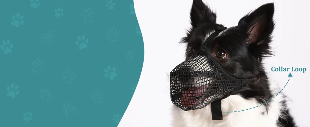Dog Muzzle Soft Mesh Covered Muzzles for Small Medium Large Dogs Poisoned Bait Protection Muzzle with Adjustable Straps Prevent Biting Chewing and Licking Black XS: Snout(4 "-6 ") - basket muzzle