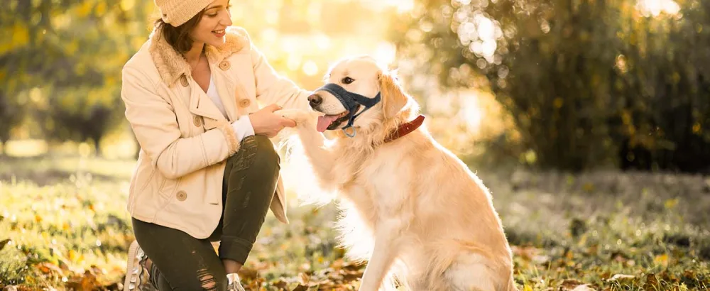 Nylon Soft Dog Muzzle for Dogs Prevent Anti Biting Barking and Chewing Adjustable Loop (XL Black) XL Black - product information 2