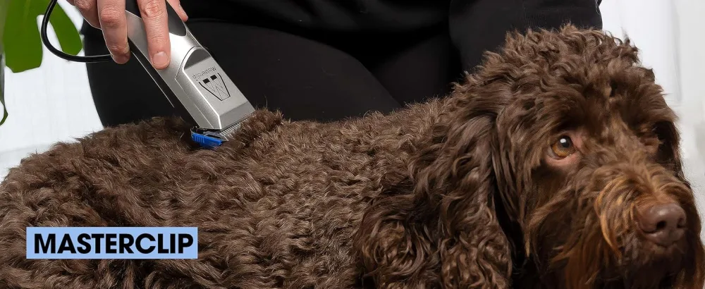 Masterclip Dog Clippers for Cockapoo Cavapoo Cavachon Labradoodle & Poodle. Mains Powered Dog Clippers with #10 & 3mm 6mm 10mm 13mm Comb Guides - Masterclip Pedigree Pro Dog Clipper