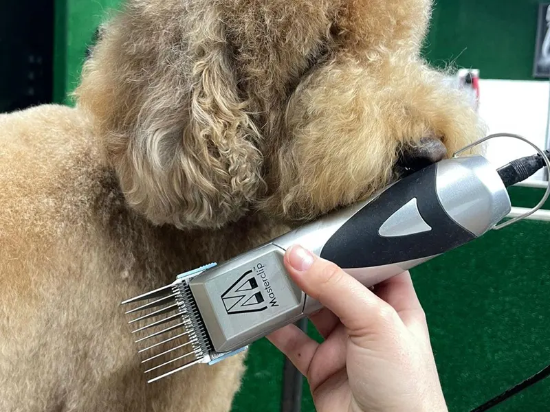 Masterclip Dog Clippers for Cockapoo Cavapoo Cavachon Labradoodle & Poodle. Mains Powered Dog Clippers with #10 & 3mm 6mm 10mm 13mm Comb Guides - Masterclip Pedigree Pro Poodle Labradoodle Dog Clipper