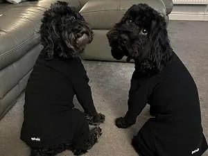 Warm Four Legged Dog Fleece Available in Five Sizes & Three Colours (Teal Medium (Four Legged)) Medium (Four Legged) Teal - medium fleece
