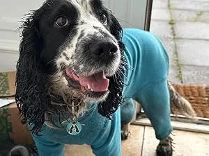Warm Four Legged Dog Fleece Available in Five Sizes & Three Colours (Black Medium (Four Legged)) Medium (Four Legged) Black - teal four legged fleece