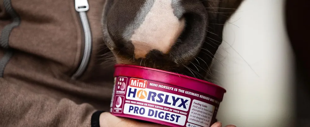 Horslyx Minis Horse Licks 650g - horslyx