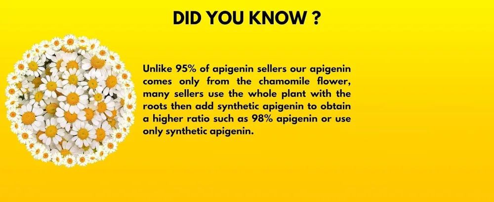 APIGENINE | ORGANIC | 100% Natural | Chamomile Extract | Best Sleep | Relaxation | Vegetable Capsules | - Apigenin bio extract chamomile sleep sleeping pills antioxidant recovory