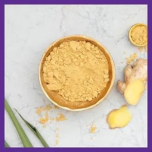 New Chapter Ginger Force 60 Vegetarian Capsules - ginger; ginger capsules; ginger supplement; ginger supplements; joint supplement; joint pain