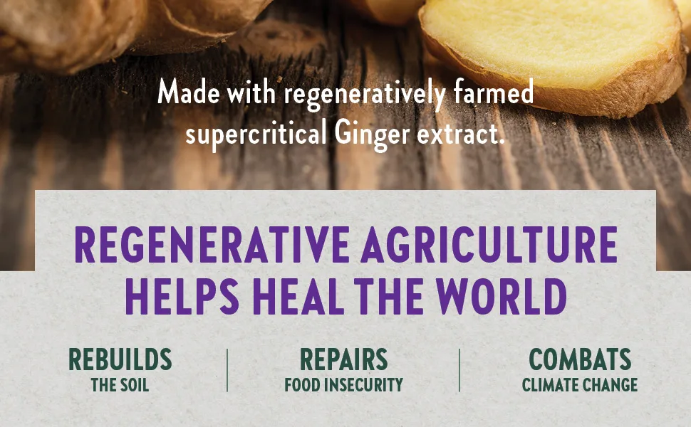 New Chapter Ginger Force 60 Vegetarian Capsules - ginger; ginger capsules; ginger supplement; ginger supplements; joint supplement; joint pain