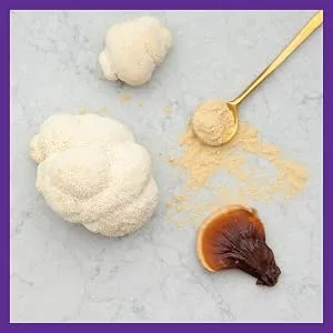 New Chapter Lion's Mane 60 Vegan Capsules - lions mane; lion