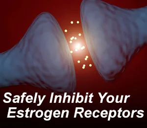Nugenix Estro-Regulator Powerful Anti-Aromatase Modulator 60 Capsules - product information 2