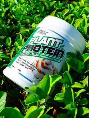 Nutrex Natural Series Plant Protein German Chocolate Cake 1.25 lb (567 g) - plant protein