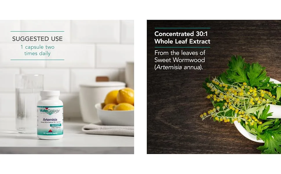 Nutricology Artemisia 100 Vegetarian Capsules - 51160