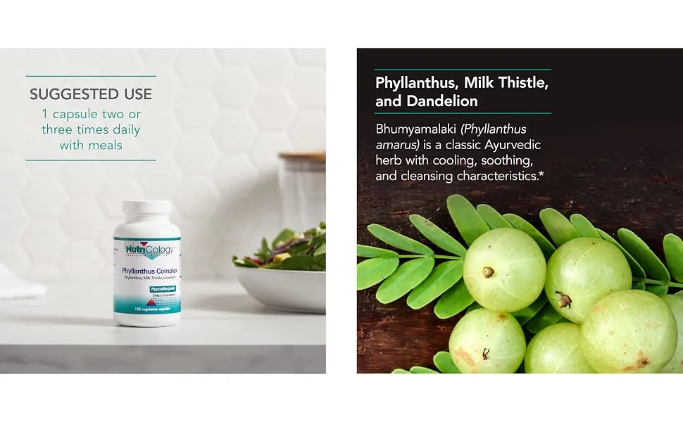 Nutricology Phyllanthus Complex 120 Vegetarian Capsules - 50750