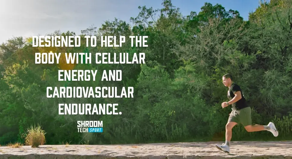 Onnit Shroom Tech Sport Energy & Endurance 84 Capsules - product information 1