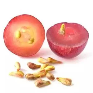 Paradise Herbs ActiVin Grape Seed Extract with Amla 90 Vegetarian capsules - product information 4