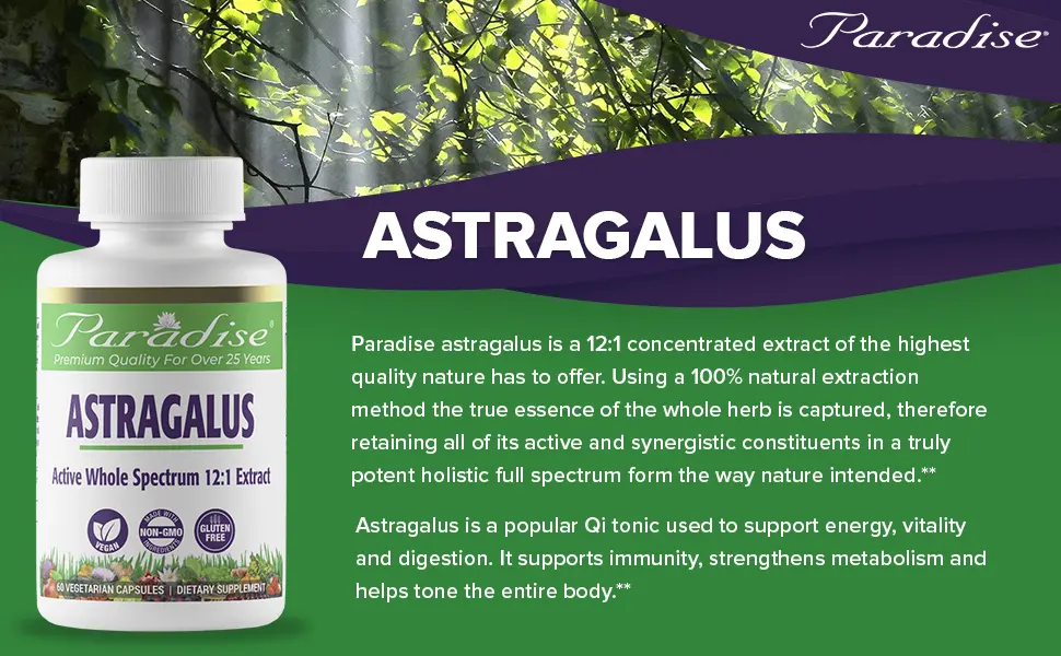 Paradise Herbs Astragalus 120 Vegetarian Capsules - Paradise herbs
