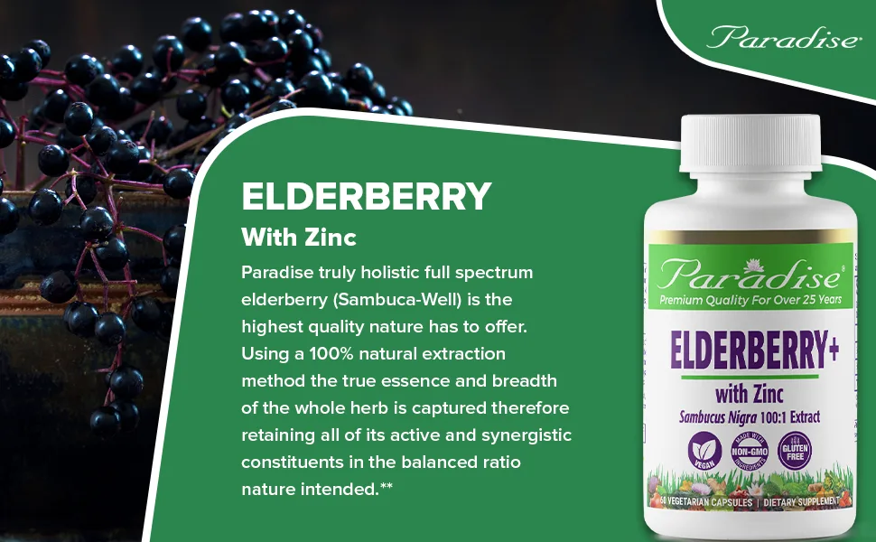 Paradise Herbs Earth's Blend Elderberry+ with Zinc 60 Vegetarian Capsules - Paradise Herbs