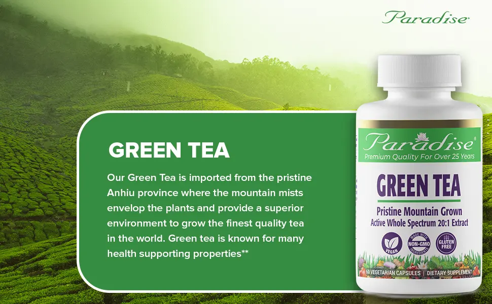 Paradise Herbs Green Tea 120 Vegetarian Capsules - Paradise Herbs