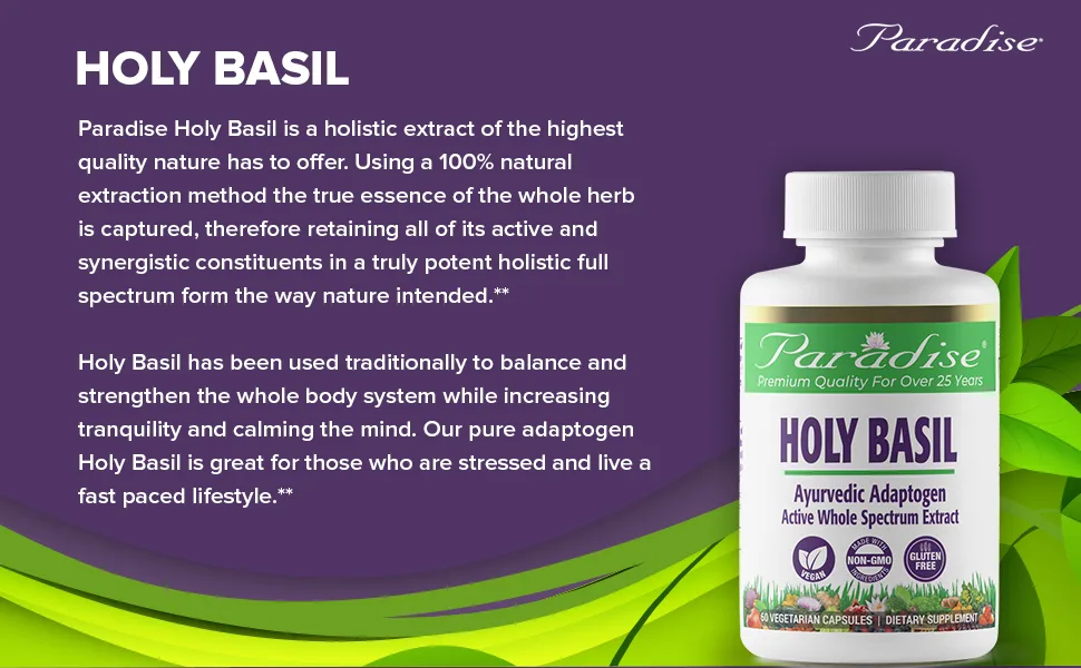Paradise Herbs Holy Basil 60 Vegetarian Capsules - Paradise Herbs