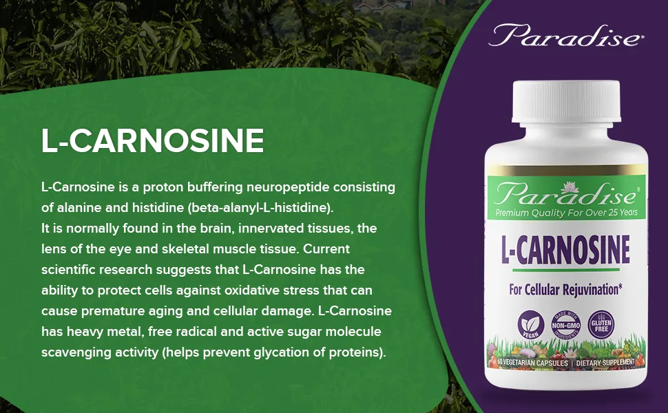 Paradise Herbs L-Carnosine 60 Vegetarian Capsules - Paradise Herbs
