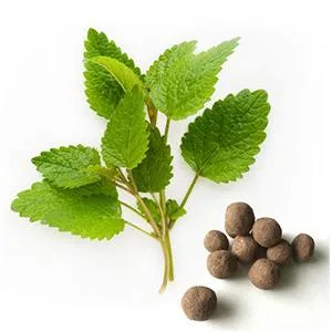 Paradise Herbs Lemon Balm 60 Vegetarian Capsules - product information 4