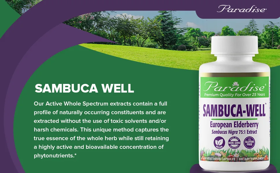 Paradise Herbs Sambuca-Well 60 Vegetarian Capsules - Paradise Herbs