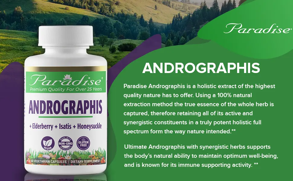 Paradise Herbs Ultimate Andrographis 60 Vegetarian Capsules - Paradise herbs